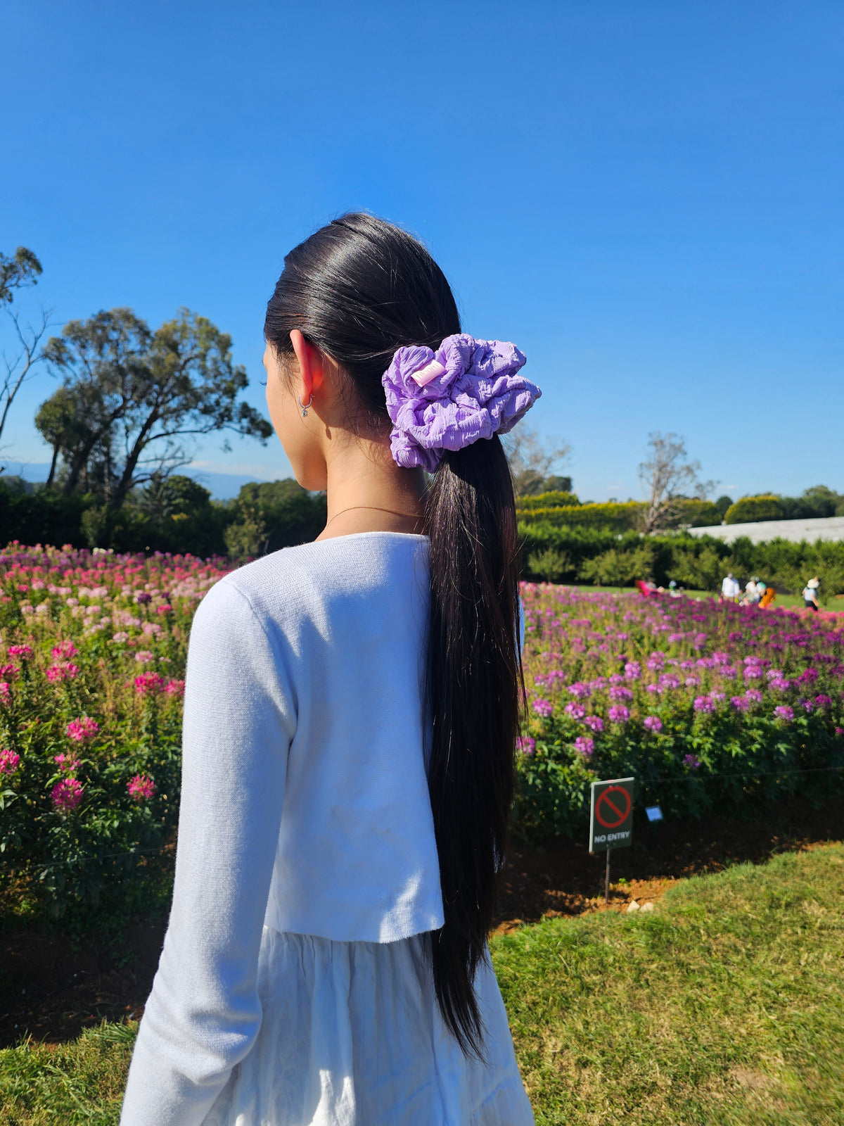 Bloom XL