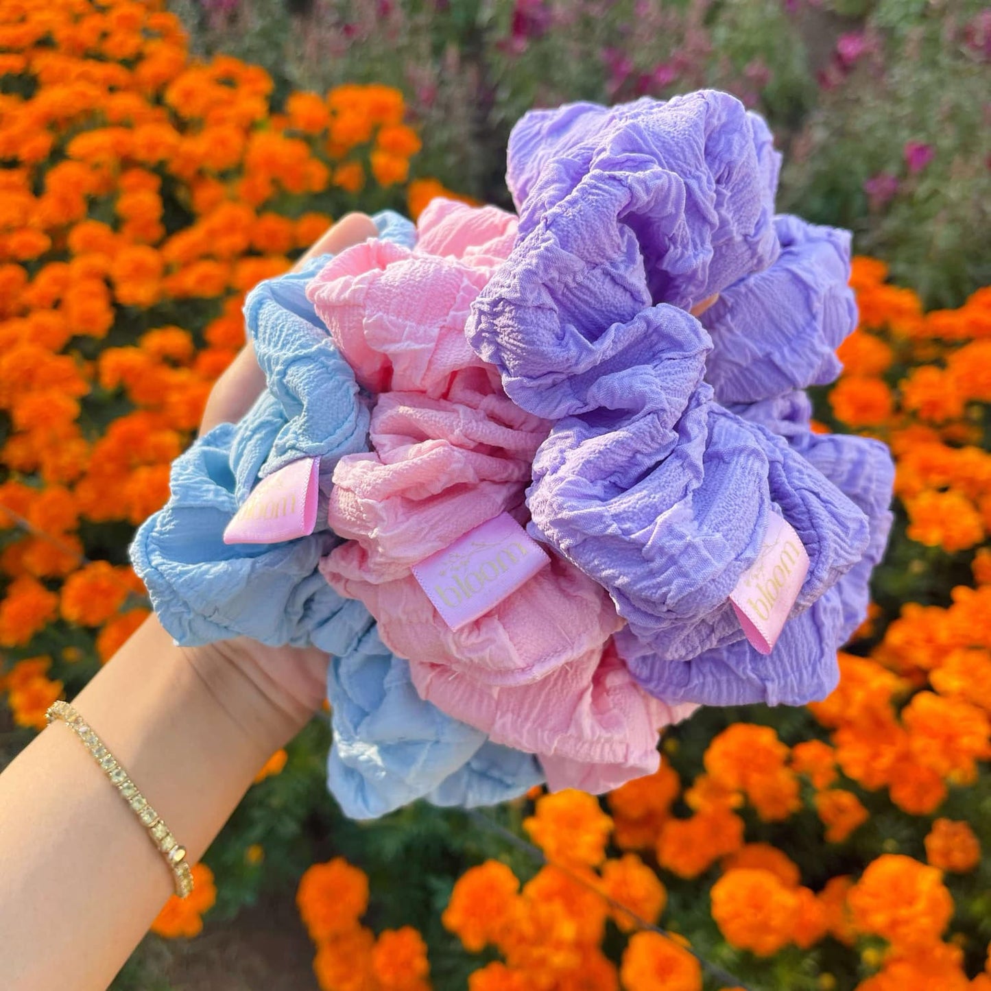 Bloom
