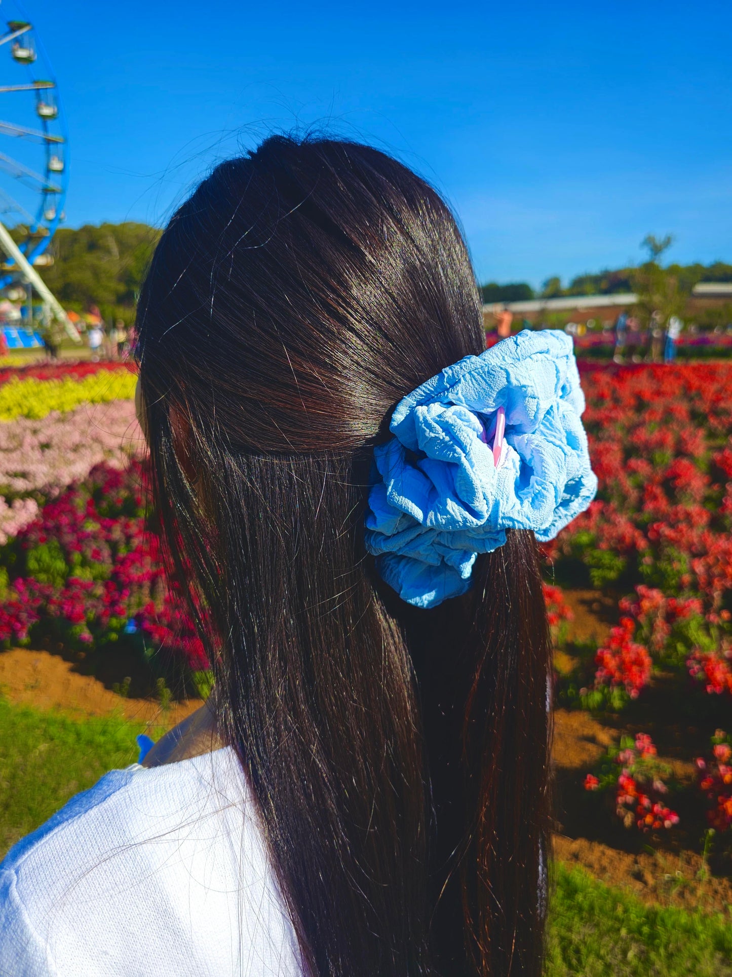 Bloom